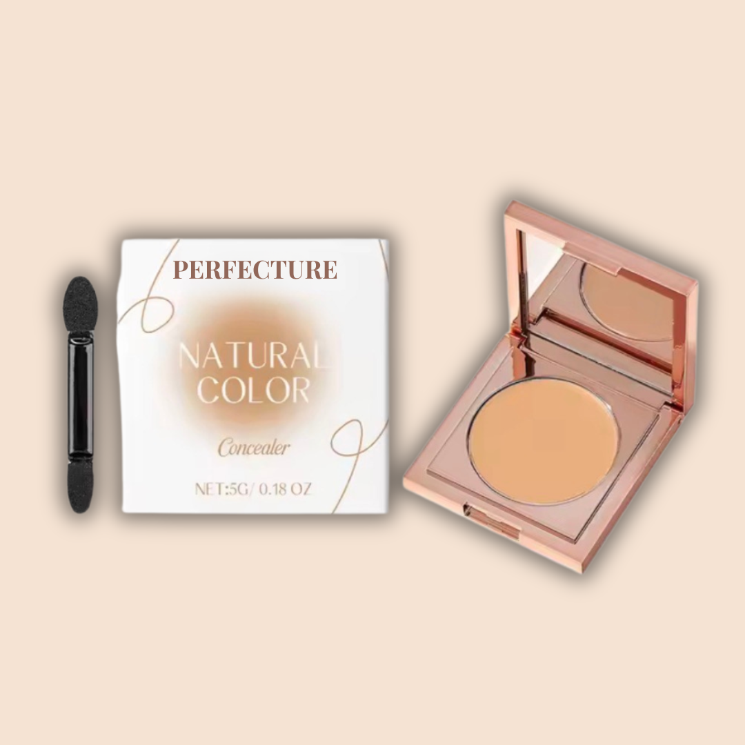 Perfecture Color-Correcting Concealer