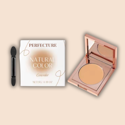 Perfecture Color-Correcting Concealer
